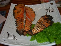 d0065219_20431829.jpg