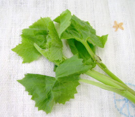 d0068023_083939.jpg