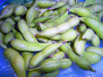 b0044726_7495136.jpg
