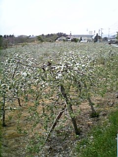 e0016828_21354331.jpg