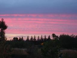 e0019942_8575839.jpg