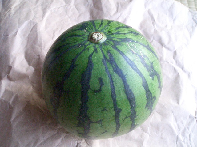 f0009451_2147559.jpg