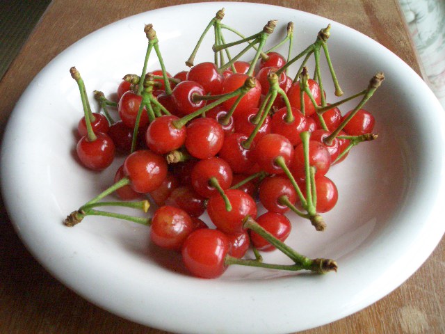 f0009451_22124989.jpg