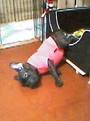 c0015354_122418.jpg