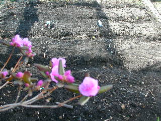 e0004756_10135377.jpg