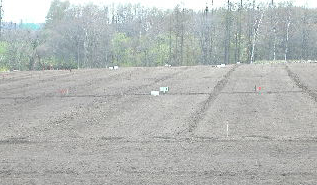 e0004756_9523160.jpg