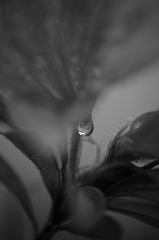 f0036357_20413647.jpg