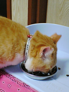 f0095271_055166.jpg