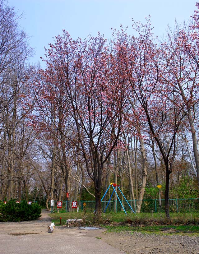 a0016775_231033.jpg