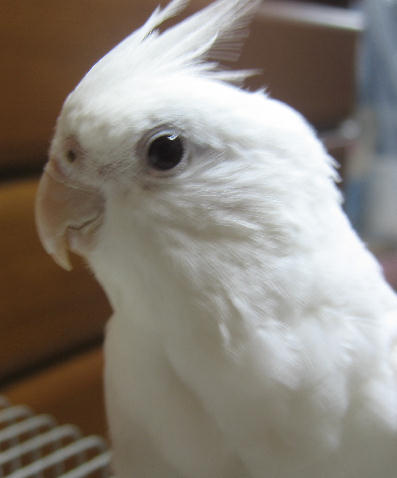 e0027078_13223714.jpg