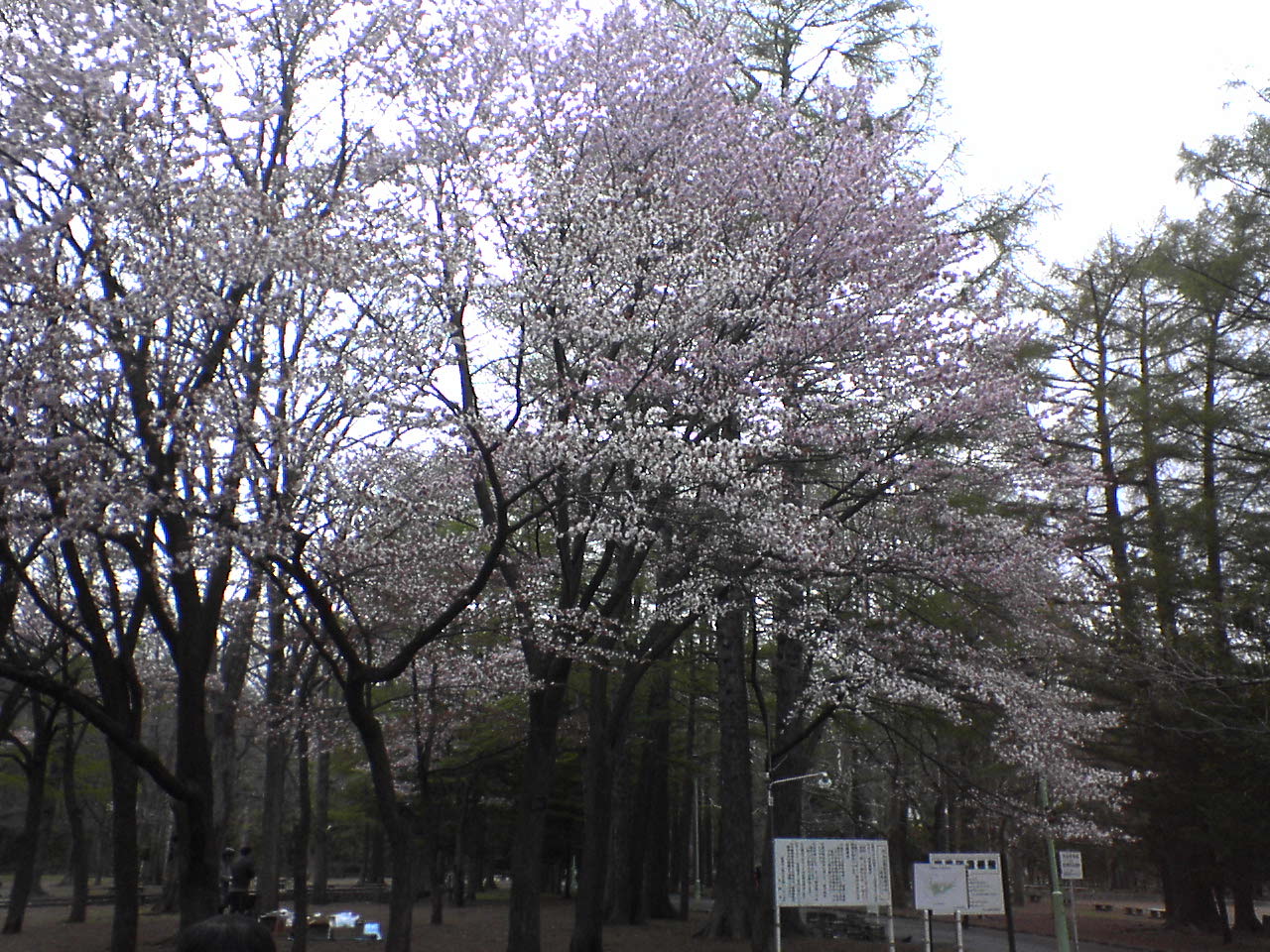 e0018484_14225065.jpg