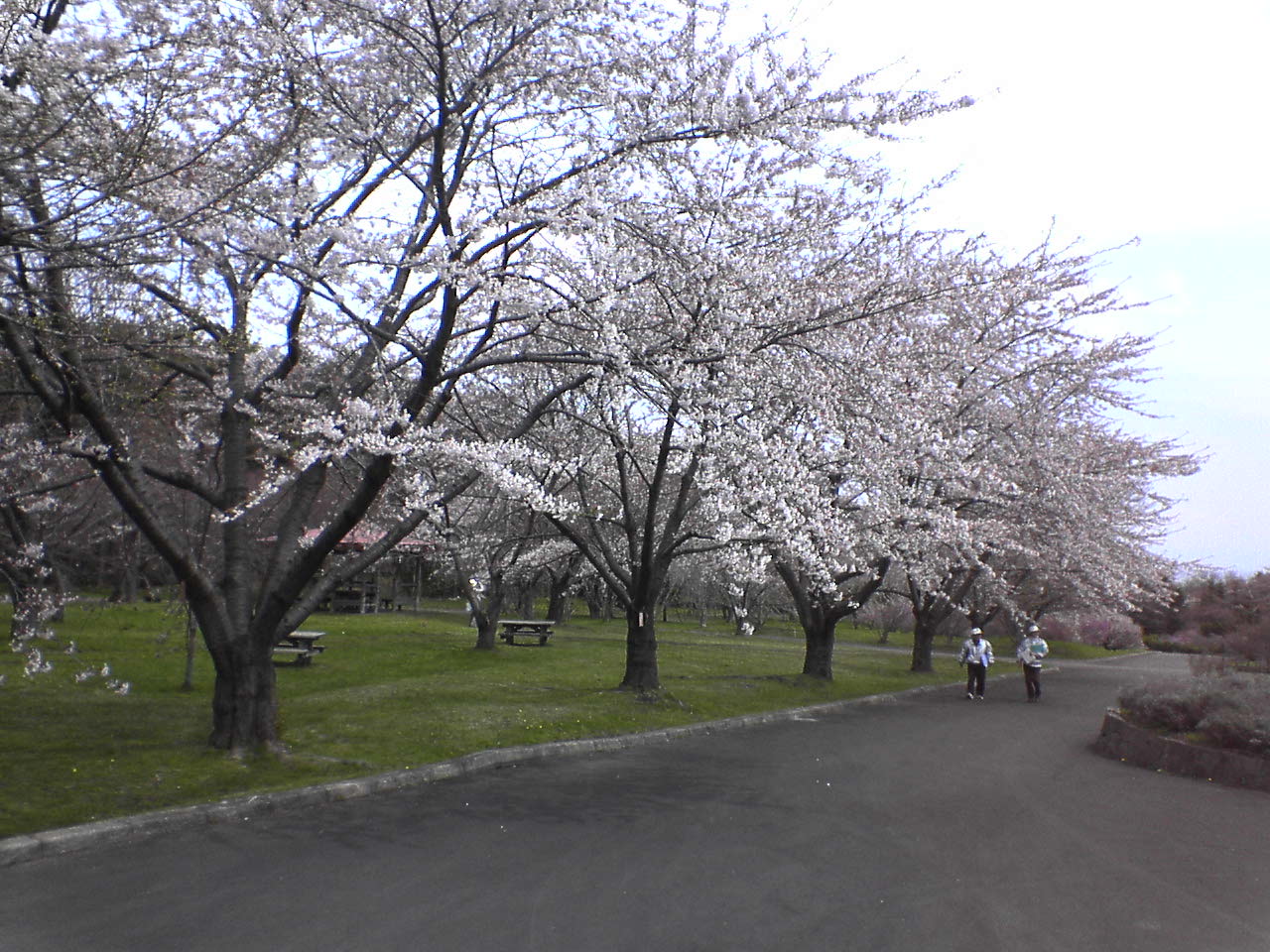 e0018484_14372569.jpg