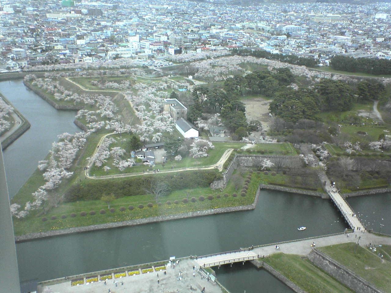 e0018484_1452139.jpg