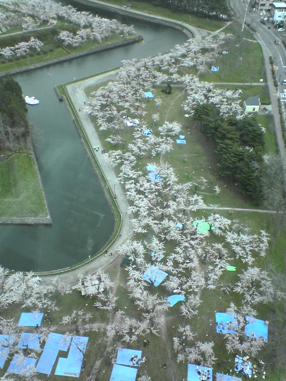 e0018484_14561665.jpg