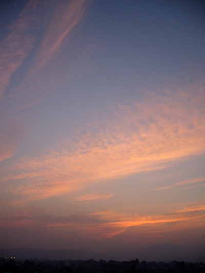 b0080789_0343343.jpg