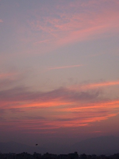 b0080789_0344340.jpg