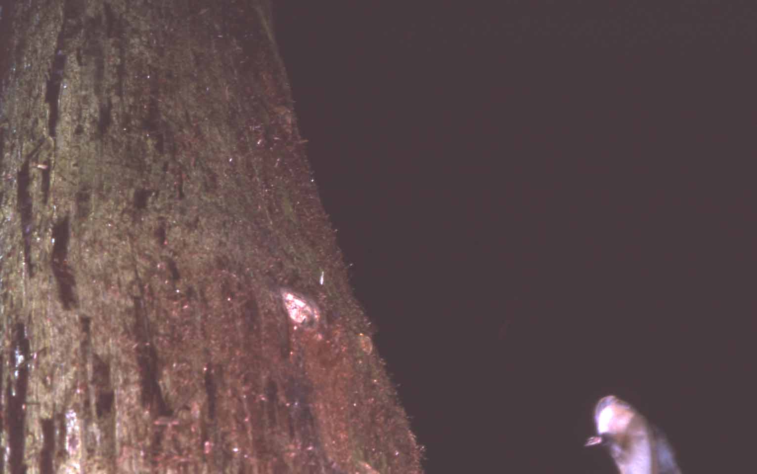 f0047593_16282264.jpg