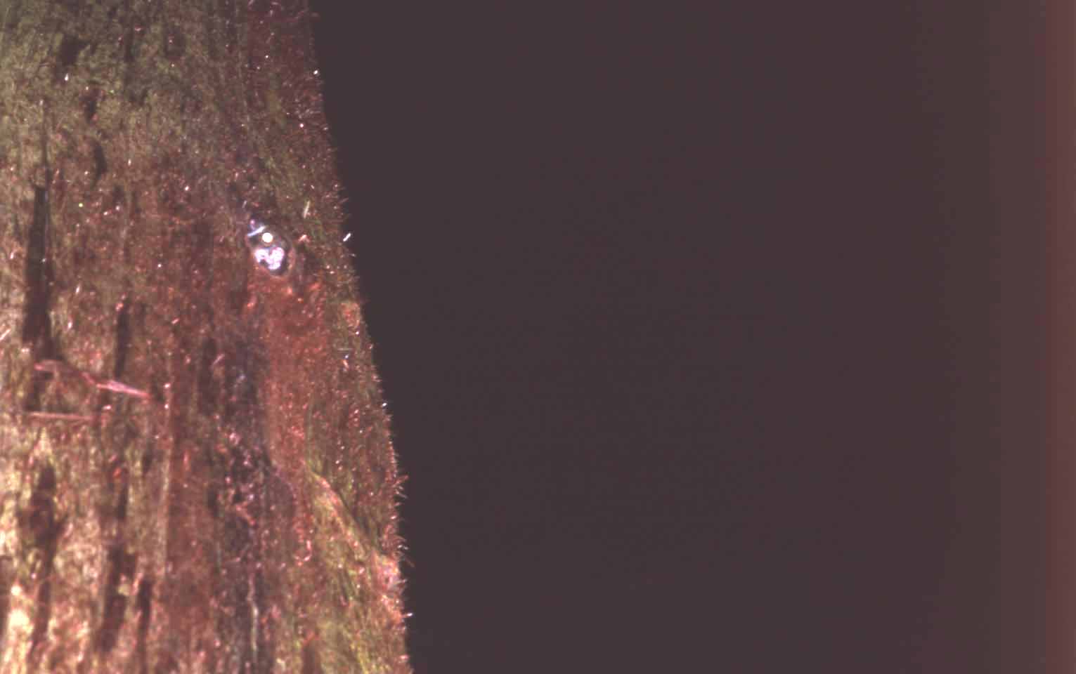 f0047593_1629655.jpg