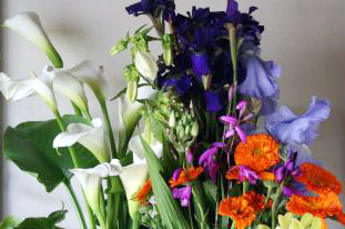 c0011009_1485041.jpg