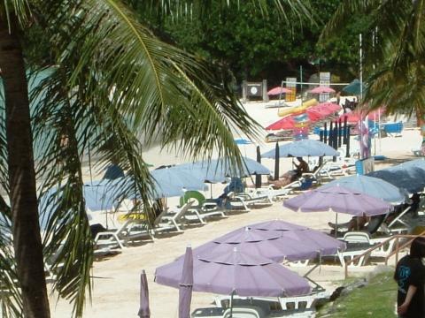 a0000014_21455686.jpg