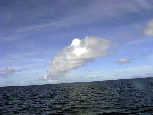 b0044726_7491164.jpg