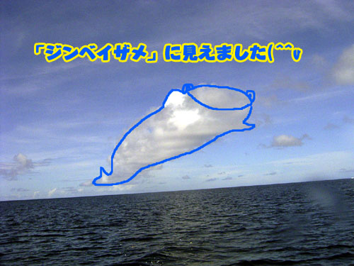 b0044726_7591256.jpg