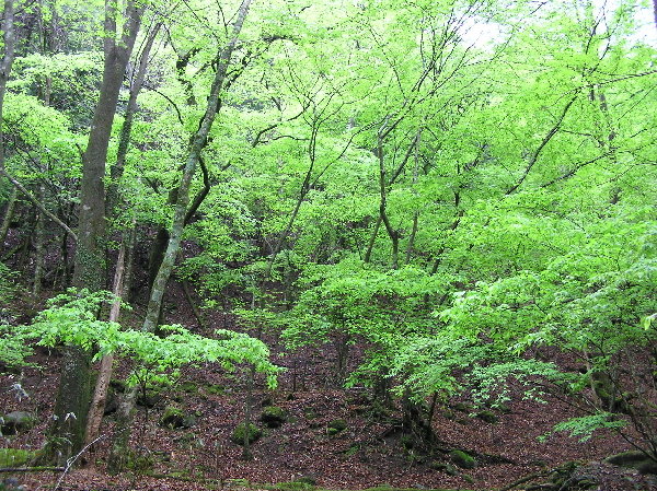 f0103126_22573264.jpg