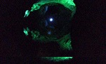 d0007037_12111395.jpg
