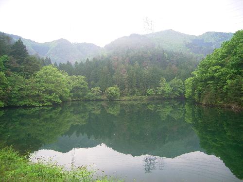 c0072843_1855455.jpg