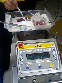 c0071847_071368.jpg