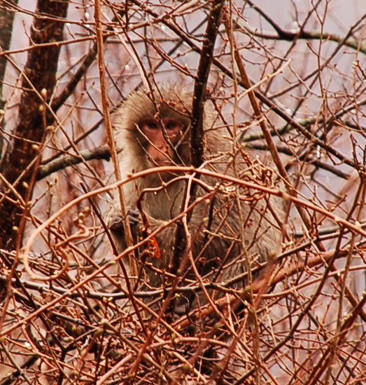 e0009147_21314748.jpg