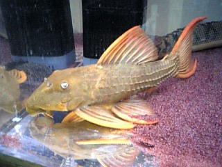 f0009758_11361495.jpg