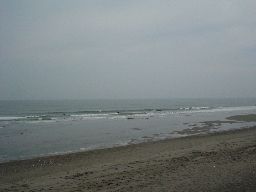 d0043161_19171023.jpg