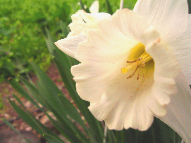 c0013462_201233100.jpg