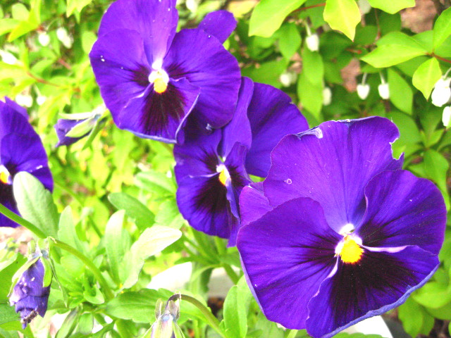 c0013462_20212164.jpg