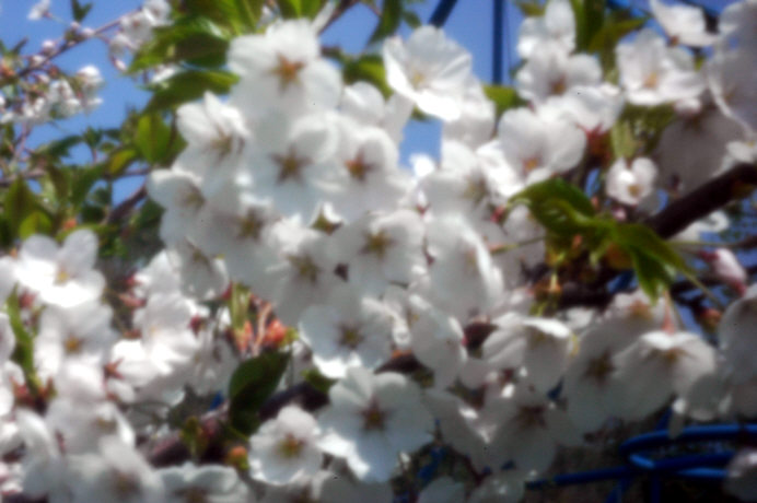 c0026870_11302182.jpg
