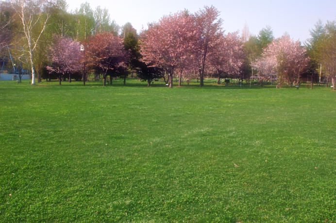 c0026870_1130772.jpg
