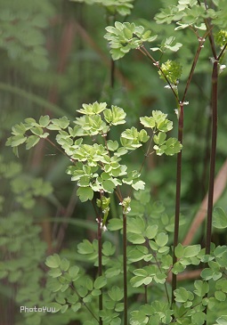b0078874_13132278.jpg
