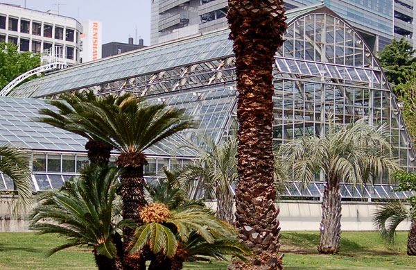 c0009981_640299.jpg