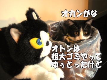 b0041182_2350306.jpg