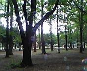 d0015489_024054.jpg