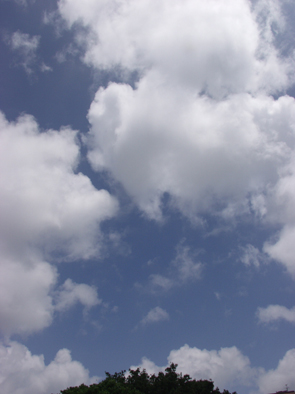 c0068090_1215149.jpg