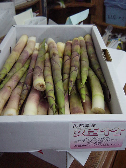 f0084695_0564626.jpg