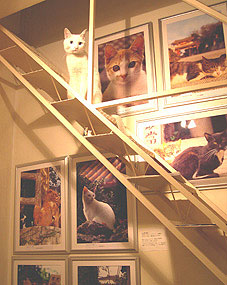 c0041201_943597.jpg