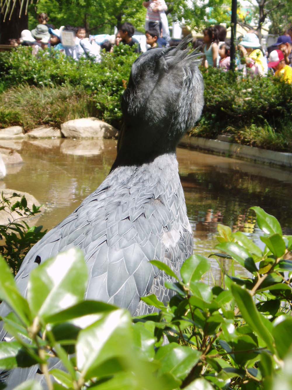 e0024903_13342588.jpg