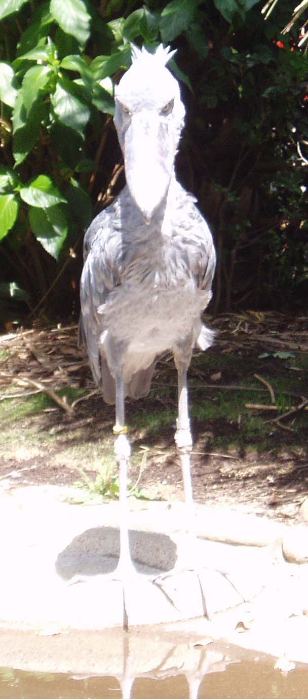 e0024903_1335011.jpg