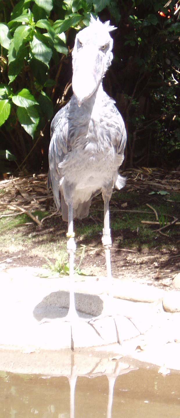 e0024903_13353534.jpg