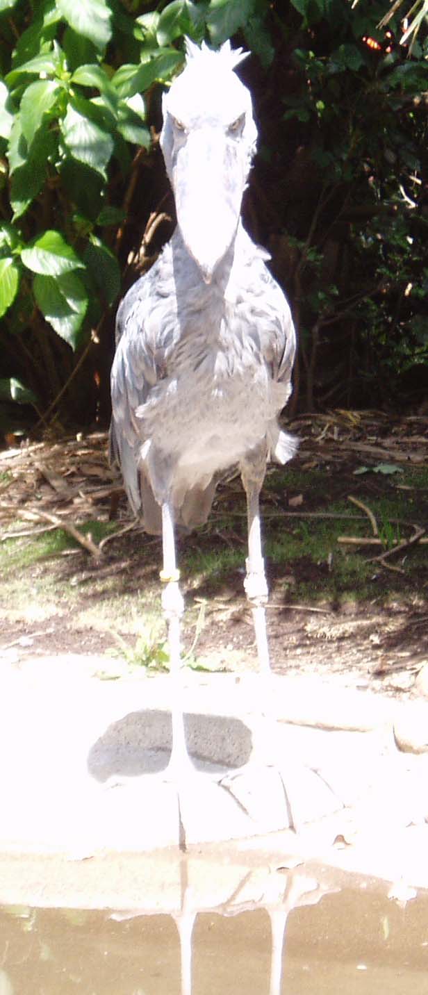 e0024903_1336759.jpg