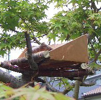c0056707_16151398.jpg