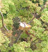 c0056707_16201199.jpg